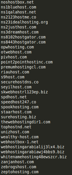 Examples of look-alike domains mimicking hosting providers and DNS services2.png