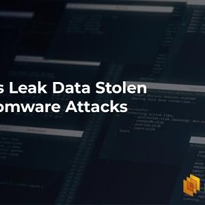 Activists Leak Data Stolen in Ransomware Attacks