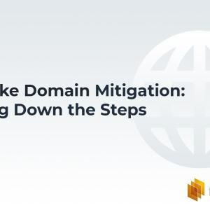 Look-alike Domain Mitigation: Breaking Down the Steps
