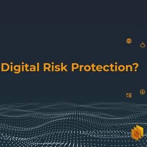 What is Digital Risk Protection?
