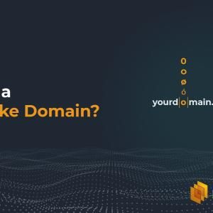 What is a Look-alike Domain?