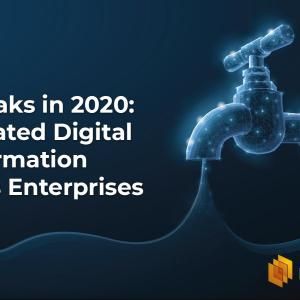 Data Leaks in 2020: Accelerated Digital Transformation Exposes Enterprises