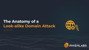 The Anatomy of a Look-alike Domain Attack